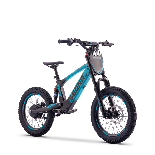 Sedna SX18
