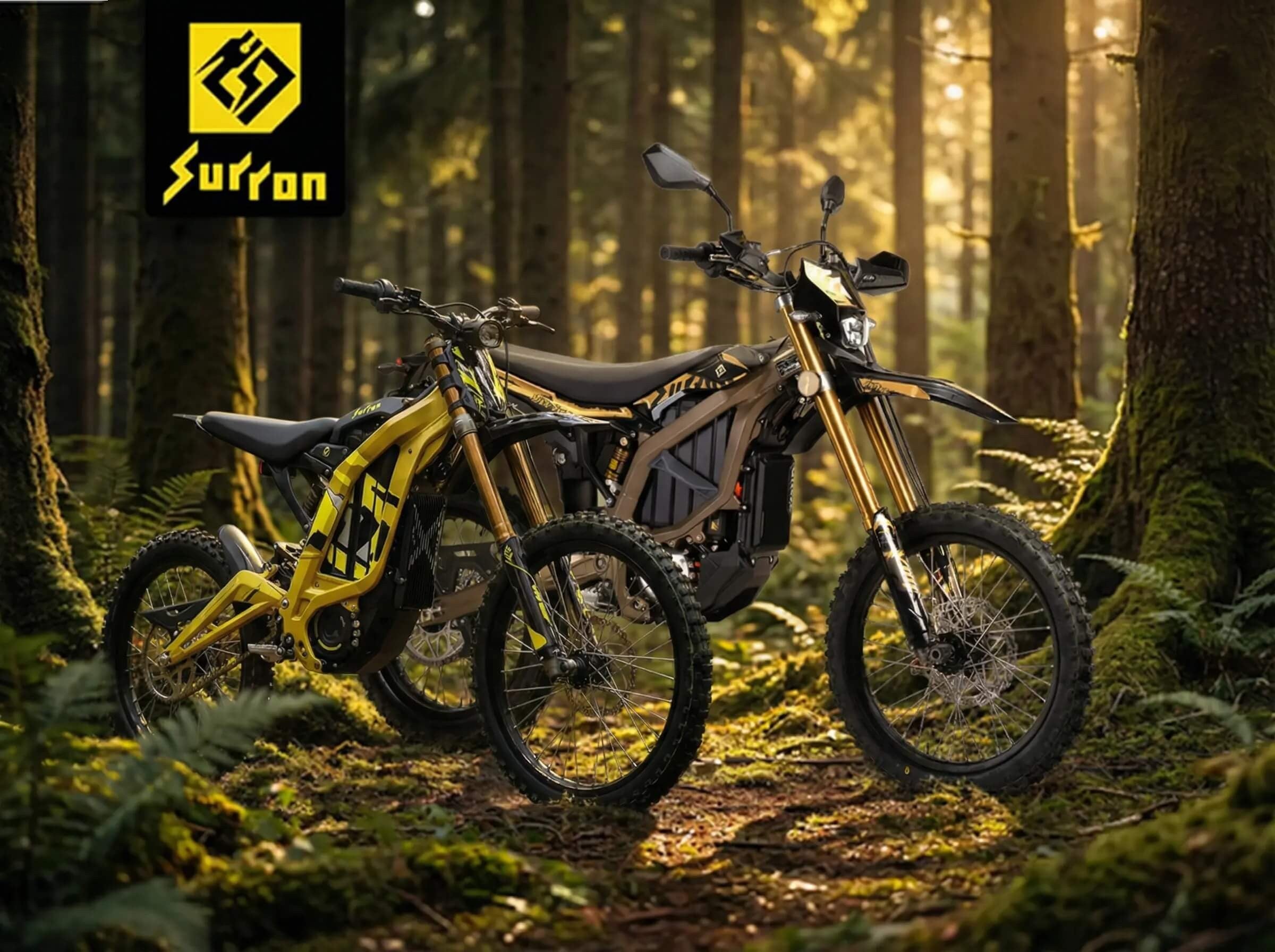 Motos Surron Image