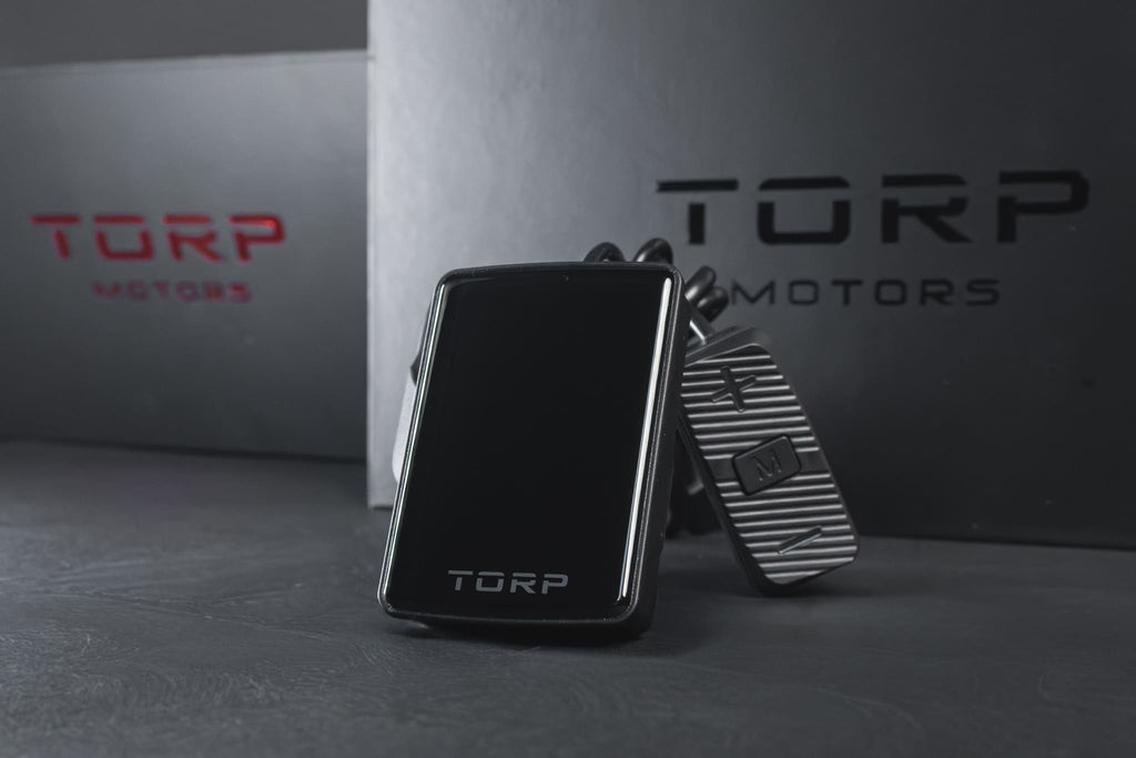 Display couleur TORP monté sur moto électrique Surron Light Bee