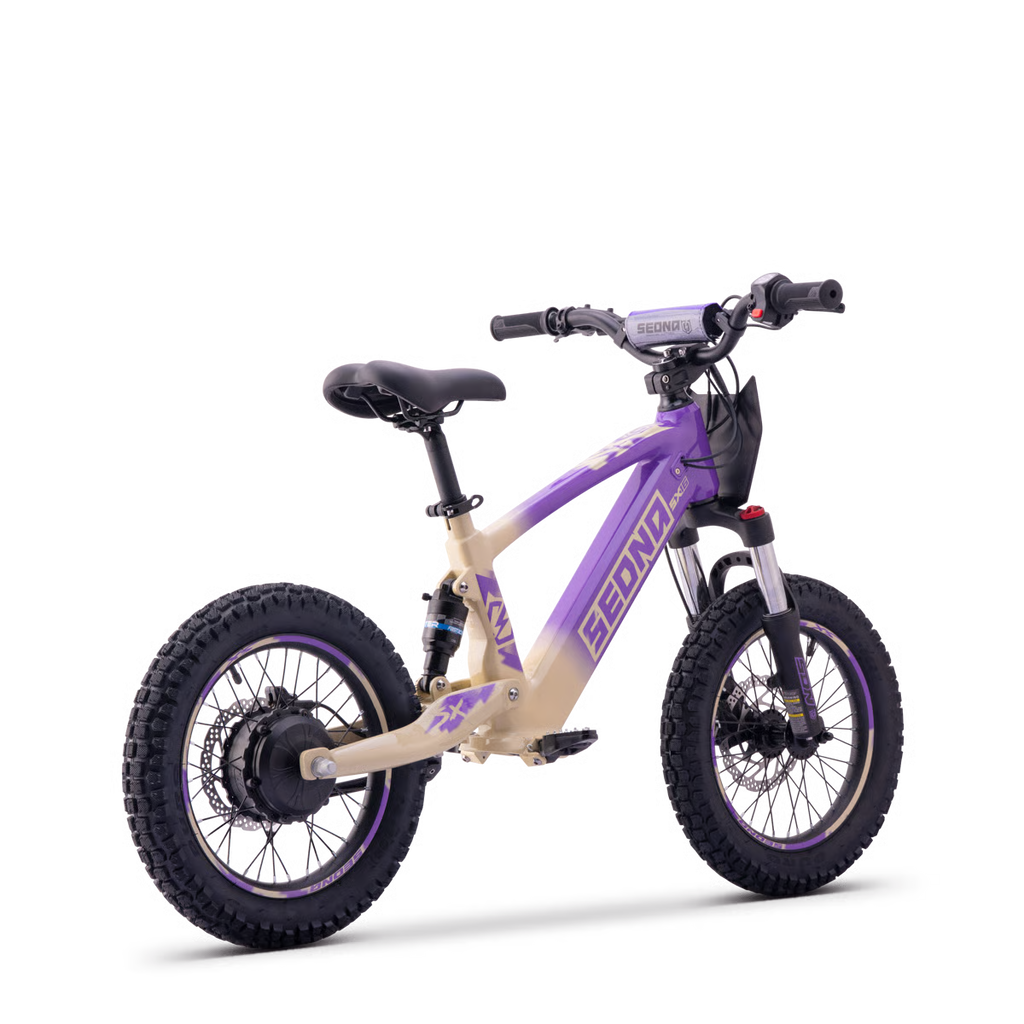 Sedna SX16 vue 46 - KinetiK Bros