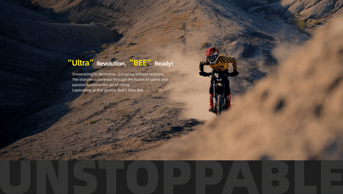 Ultra Bee en action — terrain rocailleux